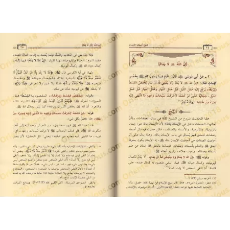 Explication du livre "Usûl Al-Îmân" [Sâlih Âl Shaykh]/شرح أصول الإيمان - صالح آل الشيخ